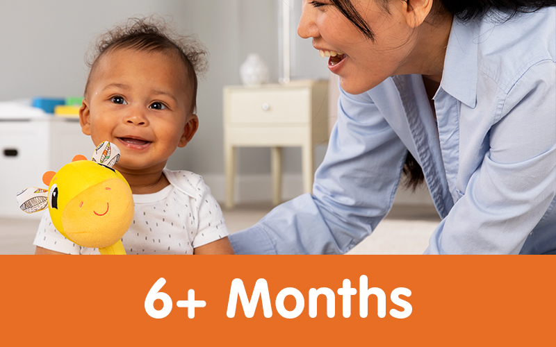 6+ Months