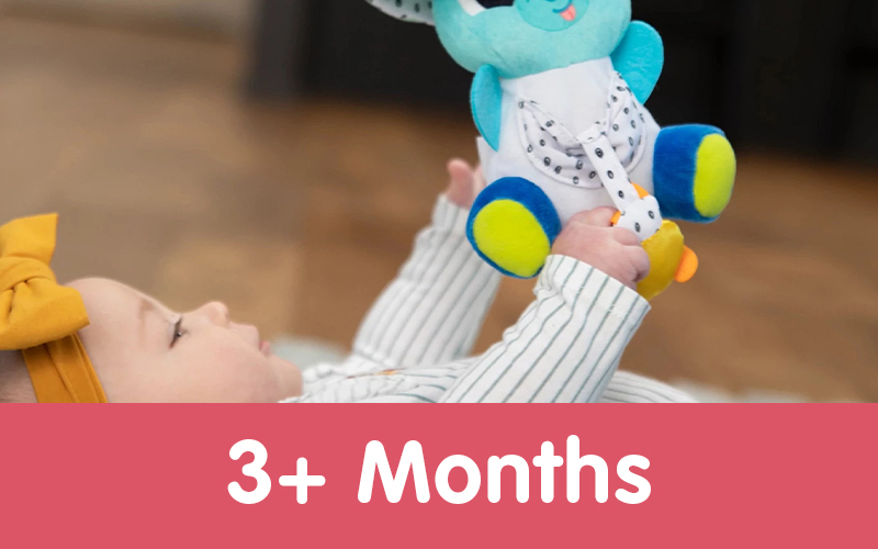 3+ Months