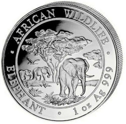 2012 1 Oz Silver 100 Shillings Somalian AFRICAN ELEPHANT Coin.