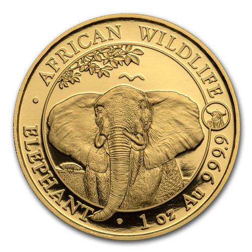 2021 1 Oz GOLD 1000 Shillings Somalia AFRICAN ELEPHANT With OX Privy Coin. 