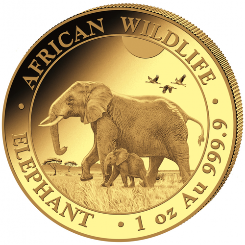 2022 1 Oz GOLD 1000 Shillings Somalian AFRICAN ELEPHANT BU Coin.
