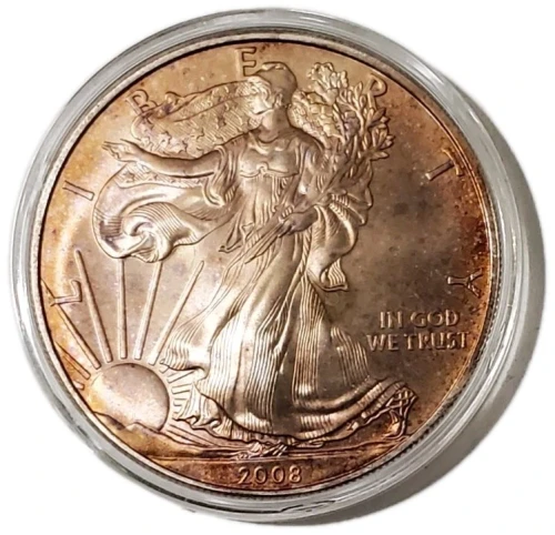 2008 1 Oz Silver $1 AMERICAN EAGLE Uncirculated Coin WITH Beautiful Natural Tone.