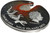 2021 2 Oz Silver $2 Niue Impact Moments METEORITE MUONIONALUSTA Antique Finish Coin.