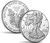 2020-W 1 Oz Silver $1 75TH ANNIV END OF WORLD WAR II AMERICAN EAGLE PCGS PF69DCAM V75 Proof Coin.