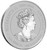 2024 1 Oz PLATINUM $100 Australia LUNAR YEAR OF THE DRAGON NGC MS70 FDOI Coin.