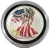 1999 1 Oz Silver $1 AMERICAN EAGLE Colored Coin WITH Beautiful Natural Tone.