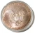 2008 1 Oz Silver $1 AMERICAN EAGLE Uncirculated Coin WITH Beautiful Natural Tone.