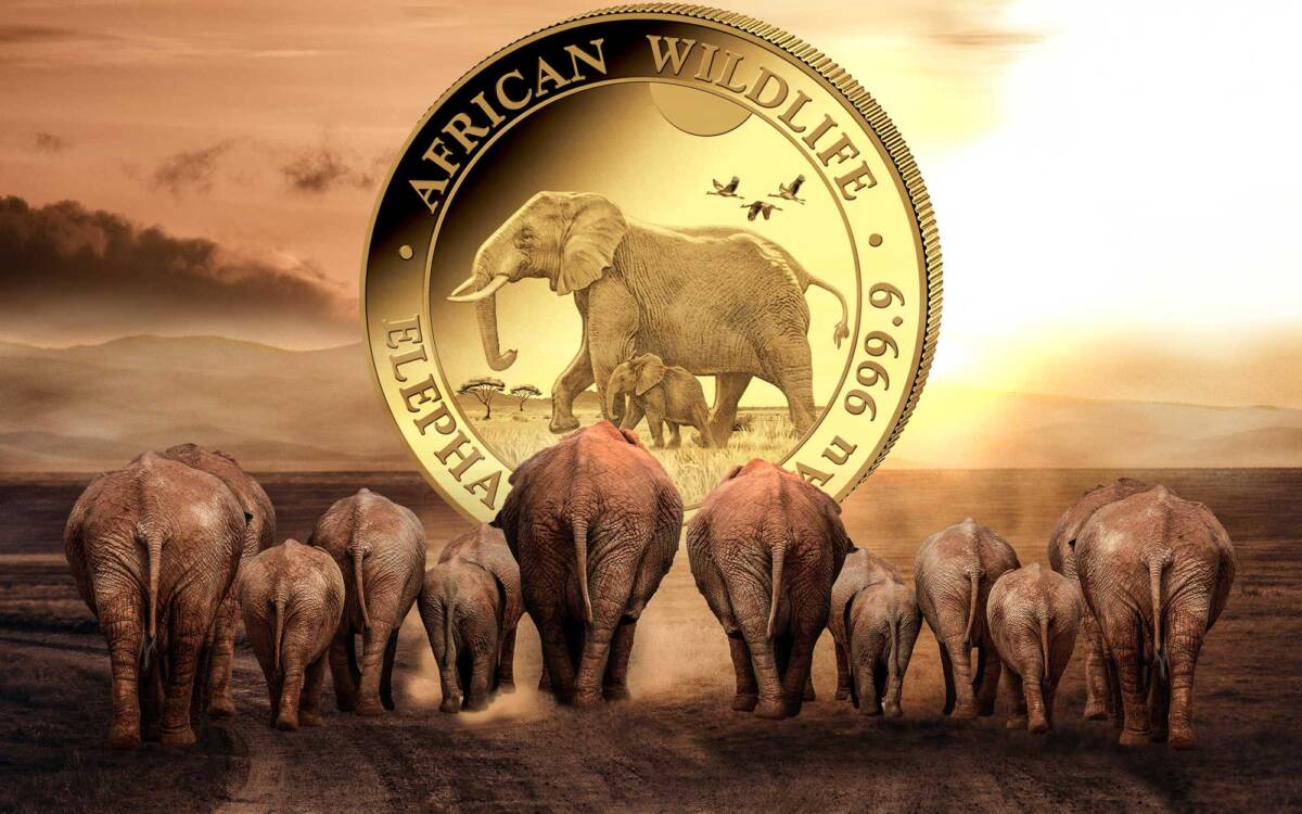 2022-1-oz-gold-elrphant.jpg