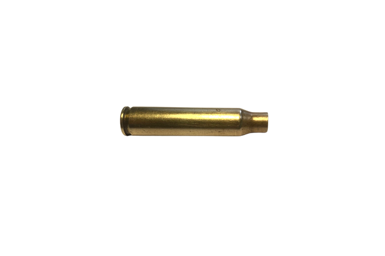 223 Remington Brass