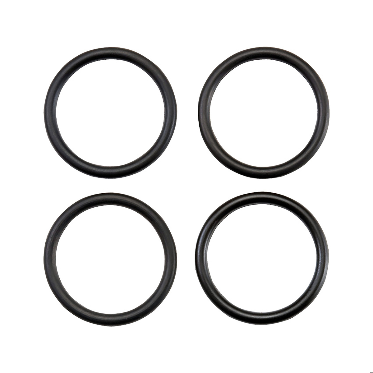 High Pressure Oil Rail Seal Kit - 03-07 Ford 6.0L AP0070