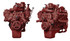 Reviva Remanufactured Diesel Engines Drop-In Engine with Head-Studs - 2002 VT365 6.0L International - 59G2D175IAPS 