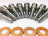 Dynomite Diesel - 30% Over (75HP) Diesel Fuel Injector Nozzle Set - 2004.5-2005 GM 6.6L LLY Duramax DDPNOZ-DLLY-30