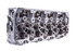 Fleece Performance Engineering Fleece - 2004.5-2005 LLY Duramax Cylinder Head (Passenger Side) - FPE-61-10002-P 