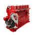 Reviva Remanufactured Diesel Engines Long Block Supreme Engine - 94-98 210HP Ford w/ Cummins 5.9L 55F4L059B