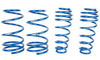 Roush .5" Lowering Springs Set (05-14 Mustang) 404472