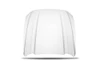Cervinis Cobra R Hood (2015 - 2017 Mustang) 1242