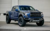Anderson Composites Carbon Fiber Hood - Type OE (2017 - 2020 Raptor) AC-HD17FDRA-OE