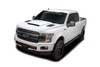 Cervinis Stalker Hood (2015-2020 F150) 1239