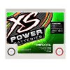 XS Power PS1200L 12V AGM Battery