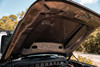 Cervinis 3" Cowl Hood (2021 - 2026 Bronco) 1257