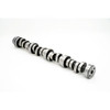 Texas Speed Supercharger Camshaft - Stage 1 - 223/223 - .641"/.641" - 115 LSA (Godzilla 7.3L) TSP-Ford7.3-Stg1-SC