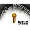 Royal Titanium Beadlock Bolt & Washer Kit 20pc (WELD Wheels 20 Bolt)
