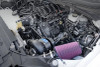 ProCharger Stage II supercharger system components for 2021-2023 F150 5.0 Coyote