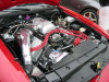 ProCharger cog drive race kit installed on 4.6 Mustang Cobra engine with F-1C