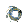 FuelTech FT550 B harness 20ft unterminated for ECU upgrade wiring