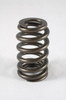 PAC Racing Ford 4.6L 4V .500 lift Ovate Beehive Valve Spring  - Spring OD: 0.943 / 1.105 - Set of 16 - PAC-1223-16