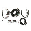 Holley EFI Coyote TI-VCT Harness Kit 558-510