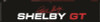 Shelby American Shelby Model Race Windshield Banner Z132-WSB-CS88R