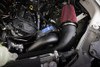 ProCharger high output pro supercharger kit 1EC411-SCI for 2024 F-150 5.0