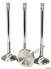GSC Power Division Intake Valve, Standard Set of 12 (Nissan TB48DE) - GSC2082-12