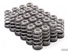 GSC Power Division Conical Valve Spring Kit, High Pressure Shimless (Nissan VQ35) - GSC5026
