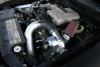 ProCharger P-1SC high output supercharger kit for 1994-1995 Mustang Cobra 5.0