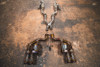 Valvetronic Race F1 Valved Exhaust System - Titanium - 4 Bespoke Tips (2006 - 2012 Ferrari 599 GTB Fiorano) FER.599.VSES.FFH.TI