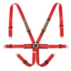 Racetech Pro International 6-Point Harness - Steel Adjusters RTPRINT