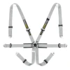 Racetech Pro International 6-Point Harness - Steel Adjusters RTPRINT