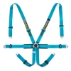 Racetech Pro International 6-Point Harness - Steel Adjusters RTPRINT