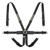 Racetech Pro International 6-Point Harness - Steel Adjusters RTPRINT