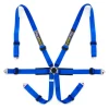 Racetech Pro International 6-Point Harness - Aluminum Adjusters RTPRINTLW