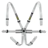 Racetech Pro International 6-Point Harness - Aluminum Adjusters RTPRINTLW