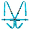 Racetech Pro International 6-Point Harness - Aluminum Adjusters RTPRINTLW
