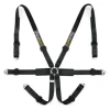 Racetech Pro International 6-Point Harness - Aluminum Adjusters RTPRINTLW