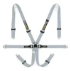 Racetech Pro International 6-Point Lightweight GT Harness - Aluminum Adjusters RTPRINTLWGT