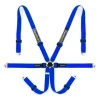 Racetech Pro International 6-Point Lightweight GT Harness - Aluminum Adjusters RTPRINTLWGT