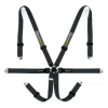 Racetech Pro International 6-Point Lightweight GT Harness - Aluminum Adjusters RTPRINTLWGT