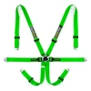 Racetech Pro International 6-Point Lightweight GT Harness - Aluminum Adjusters RTPRINTLWGT