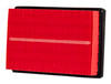Photo - Primary